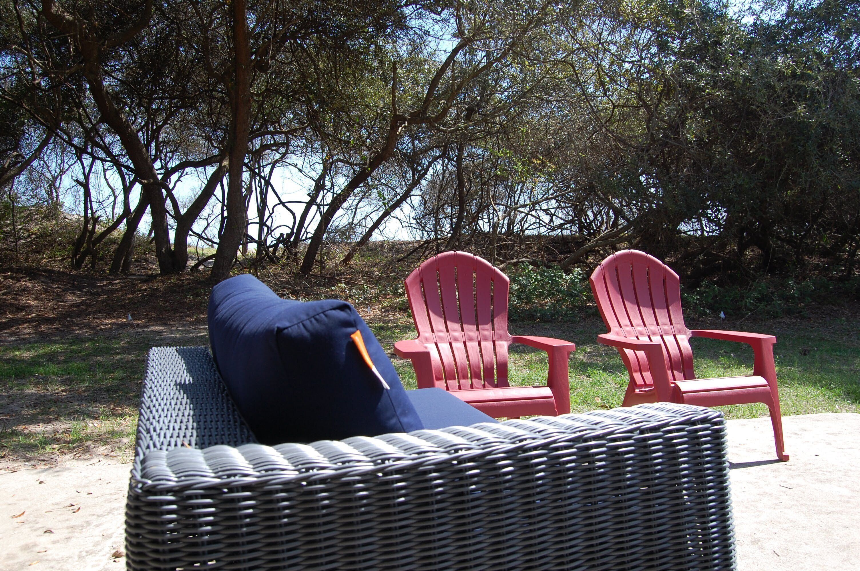 10 Best PetFriendly Rentals In Jekyll Island, Updated 2024