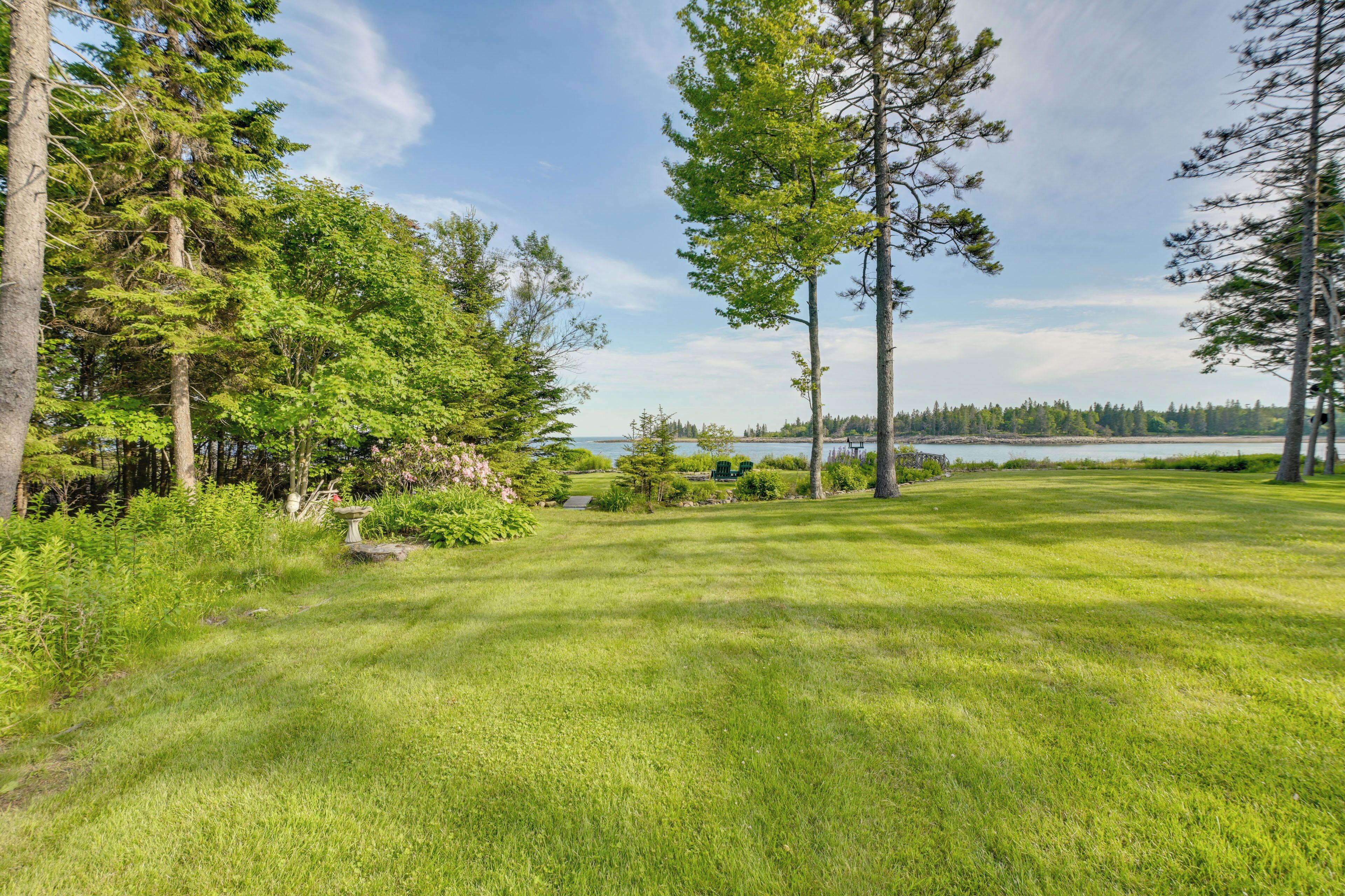A grassy area with trees and a view of a lake.