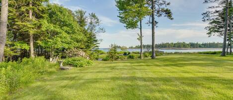 A grassy area with trees and a view of a lake.