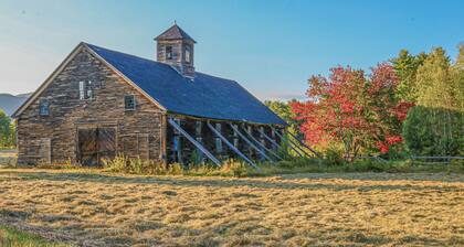 Koiraystävällinen, rinteessä varustettu huoneisto, jolla on hiihto, uima-allas ja poreallas!