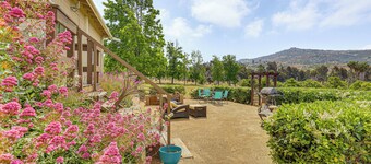 Escondido Home på 6-Acre Vineyard Estate m / udsigt!