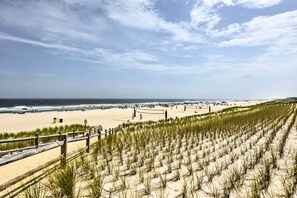 A beach with a wooden fence and dunes.
