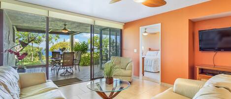 Télévision, lecteur de DVD, livres