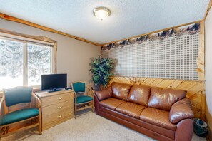 TV, fireplace, DVD player, video library