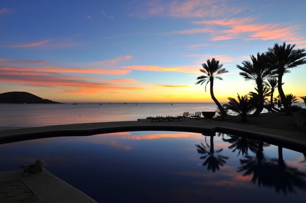 A pool reflecting palm trees and a sunset over the water.