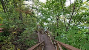 A wooden bridge in a forested area with dense foliage on both sides. - Wine to Water - Family Adventure on Keuka Lake Awaits! (Hammondsport)