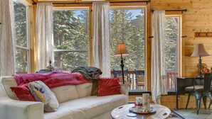Una habitación acogedora con sofá, una mesita de centro y vistas a árboles cubiertos de nieve a través de amplias ventanas.