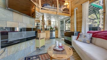 TV, fireplace, books