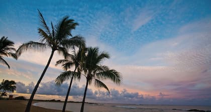 Hanalei Hideaway: 2 mh / 1 BA-talo Hanaleissa, vuodepaikkoja 4