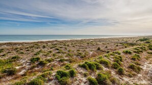 Un paysage côtier caractérisé par une plage de sable et une végétation clairsemée.