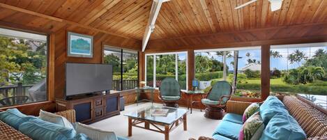 تلفزيون، مشغل دي في دي