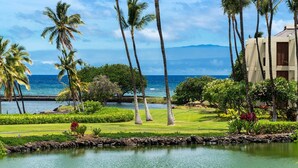 A beachfront property with a pool, palm trees, and a view of the ocean. - 🏖️ Mauna Lani Townhome with Ocean & Lagoon Views (Kamuela)