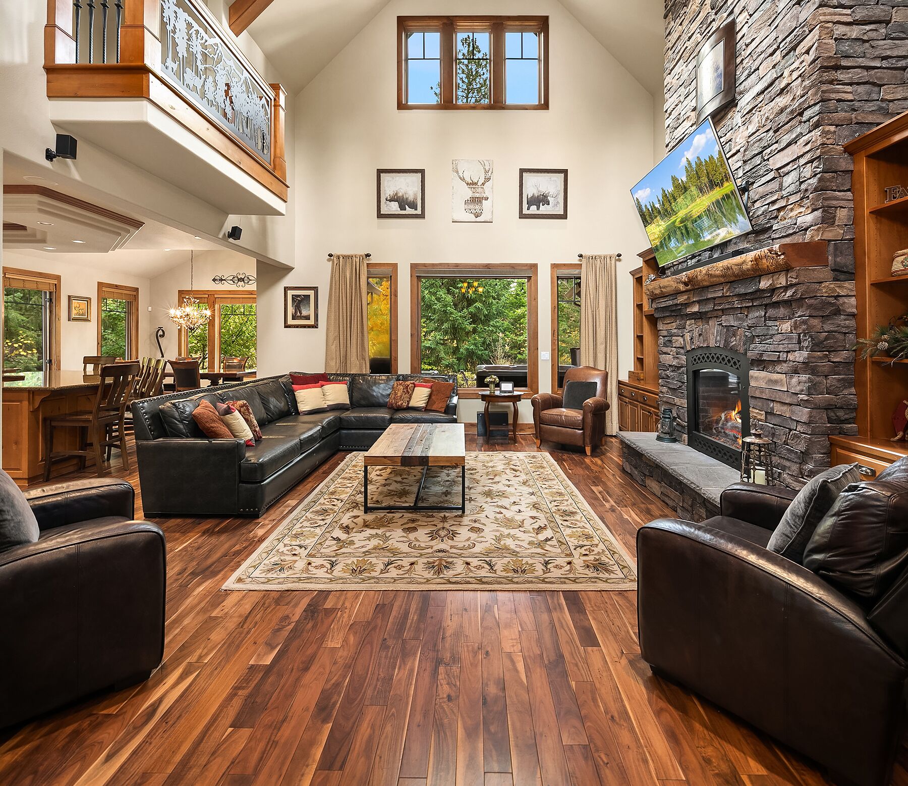 Televisio, takka, videopelejä, DVD-soitin