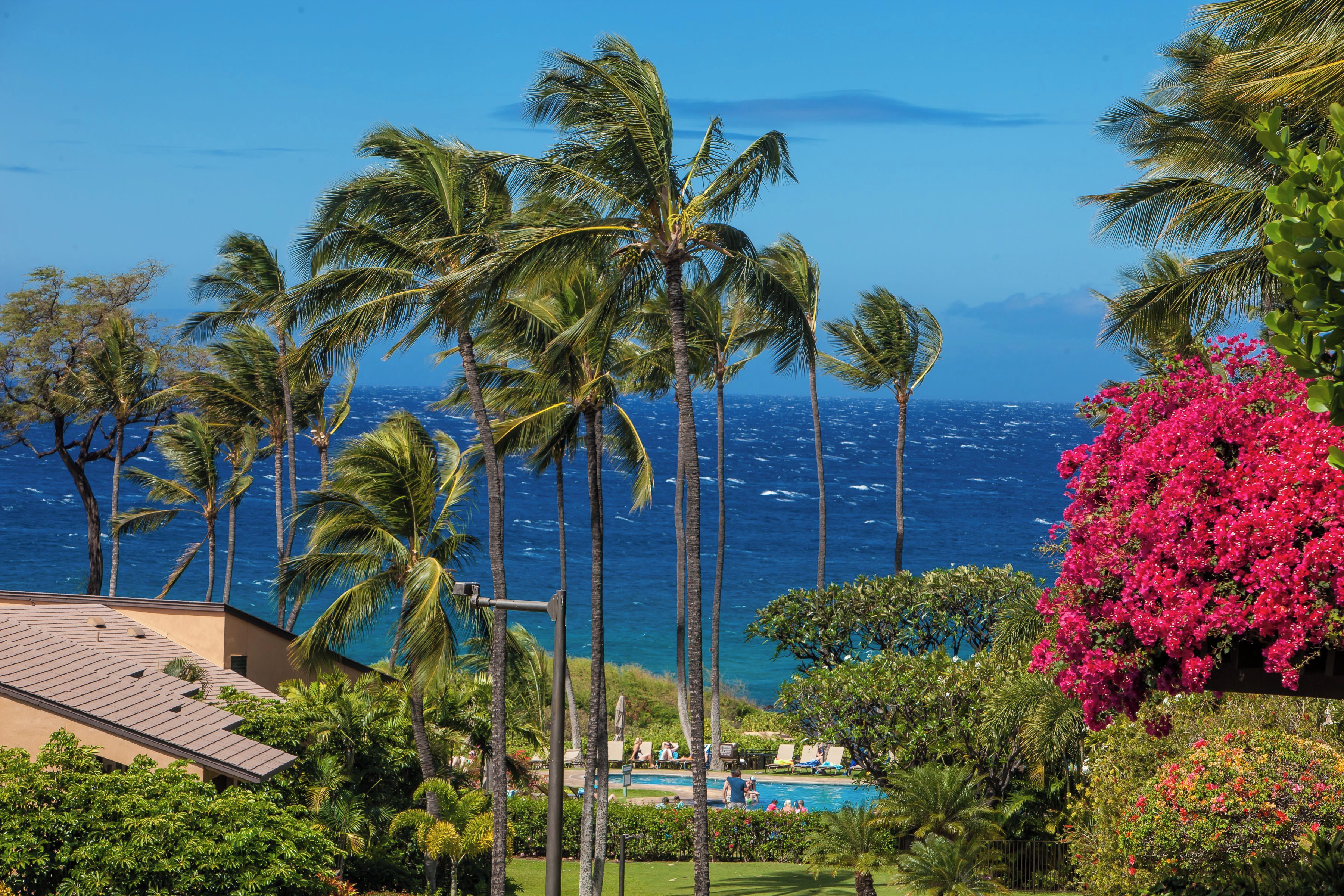 Ein Resort mit Pool, Palmen und Meerblick.