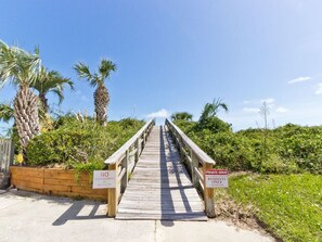 Walk across the serene bridge to a secluded area surrounded by lush greenery and palm trees.