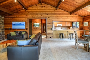 TV, fireplace, video library