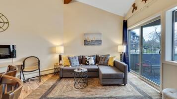 Smart TV, fireplace, DVD player, books