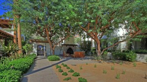 Un sendero que lleva a un banco de madera bajo un árbol, rodeado de follaje y un pequeño jardín.