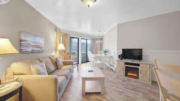 电视、壁炉、DVD 播放器