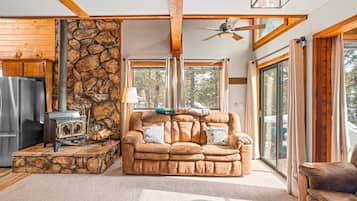 Télévision, cheminée, jeux vidéo, lecteur de DVD