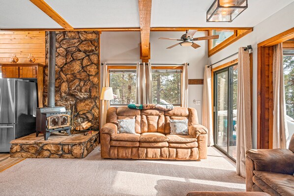 Televisión, chimenea, videojuegos y reproductor de DVD