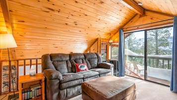 Télévision, cheminée, jeux vidéo, lecteur de DVD