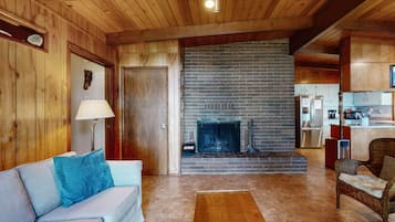 TV, fireplace, books