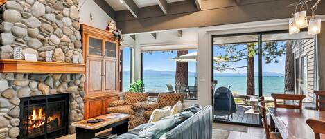 Televisión, chimenea, reproductor de DVD, libros