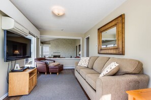 TV, fireplace, DVD player, books