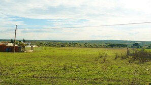 Property grounds -  Tia Luísa Cottage (country house) (Redondo)