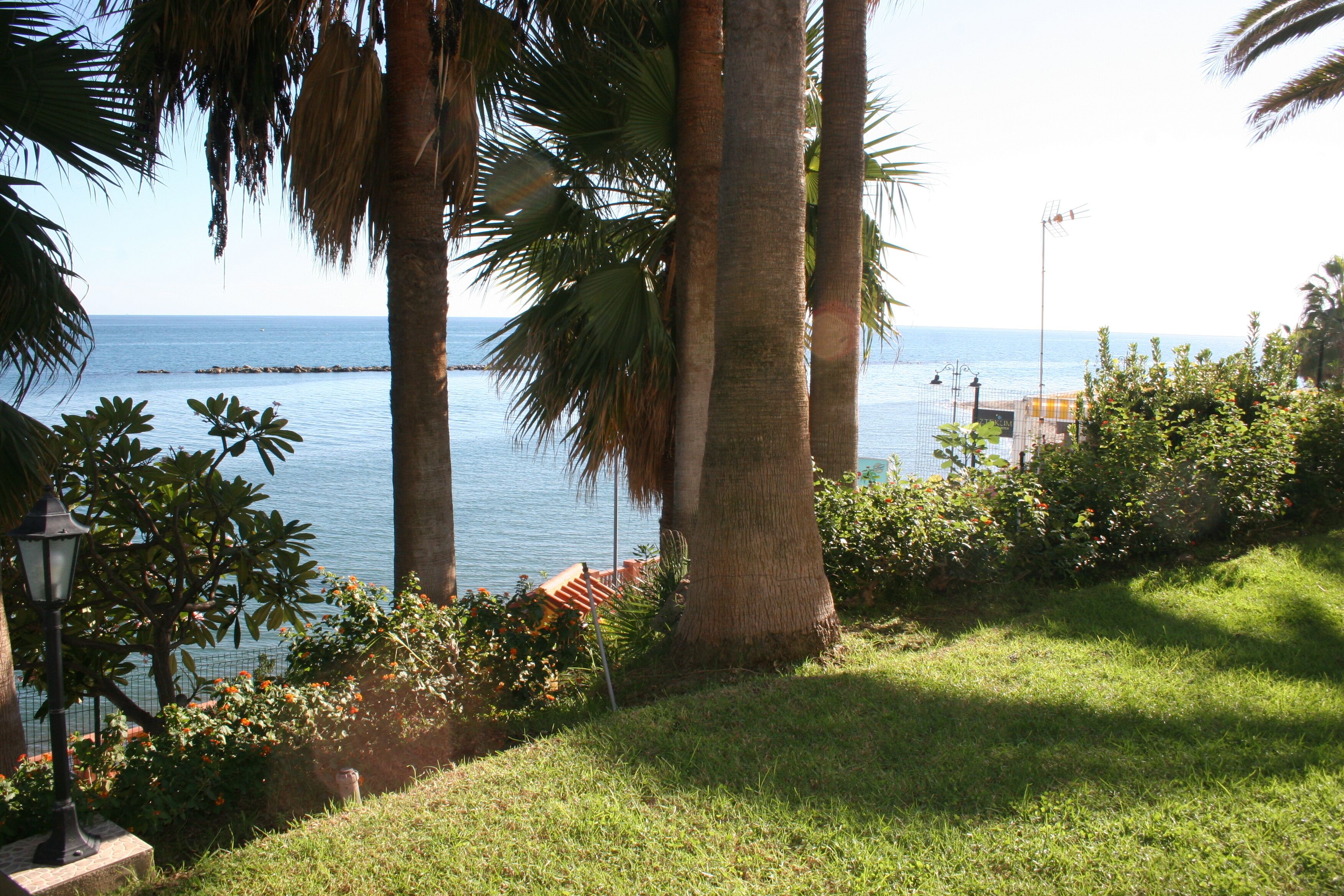 A coastal garden with palm trees, a lamp post, and a view of the sea.