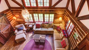 Televisión, chimenea, reproductor de DVD, libros