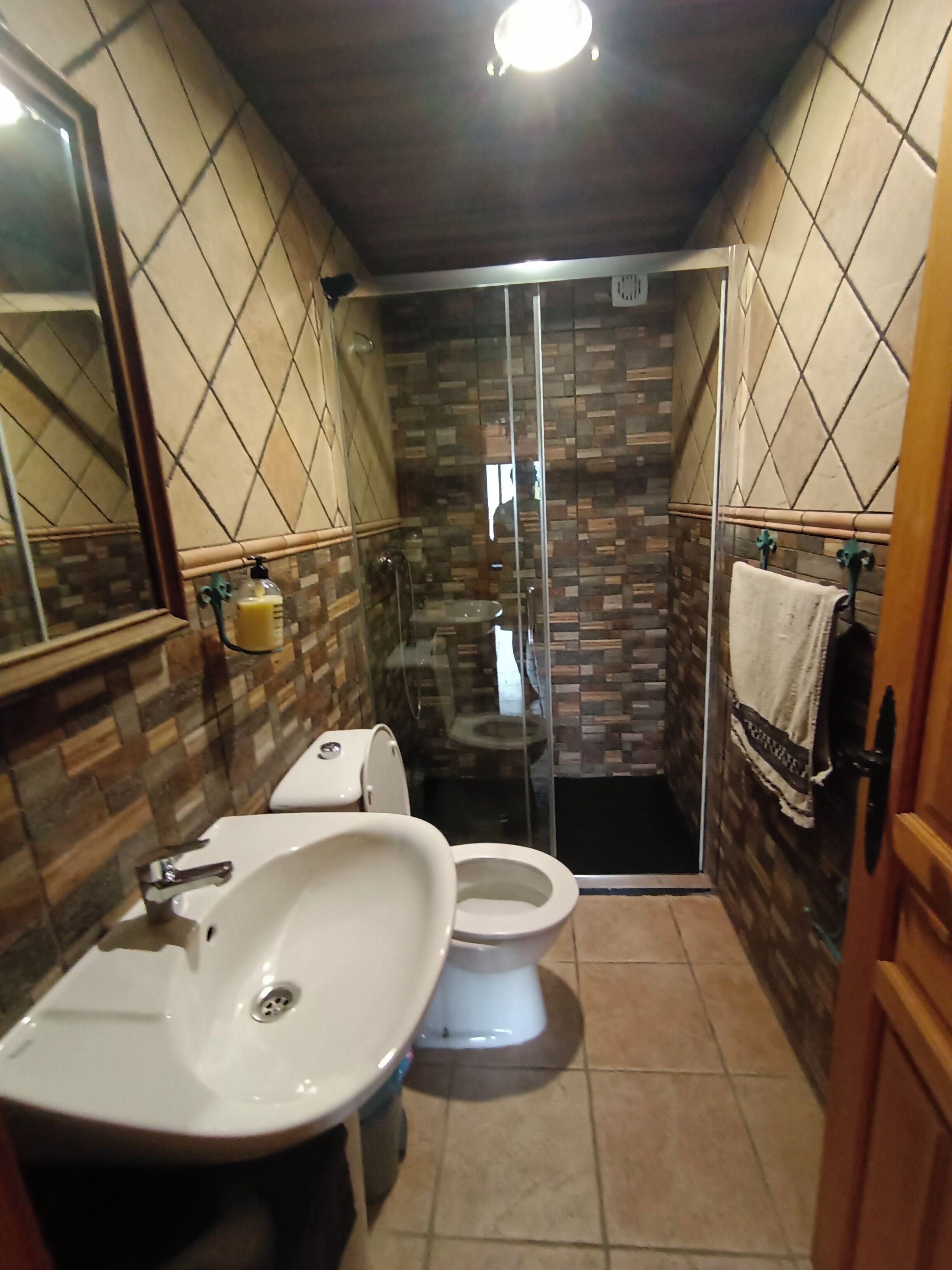 Shower, jetted tub, hair dryer, towels