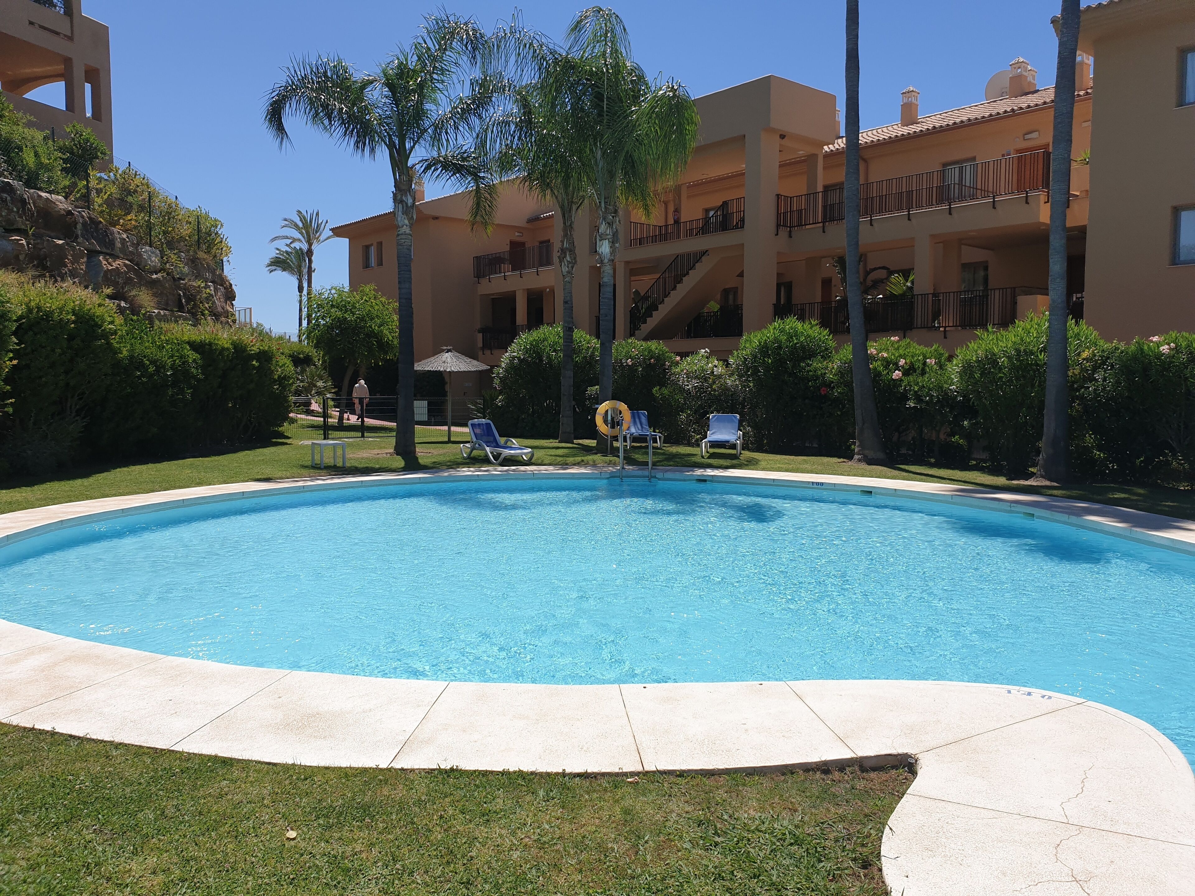 Una piscina con sillas reclinables, palmeras y un edificio con balcones al fondo.