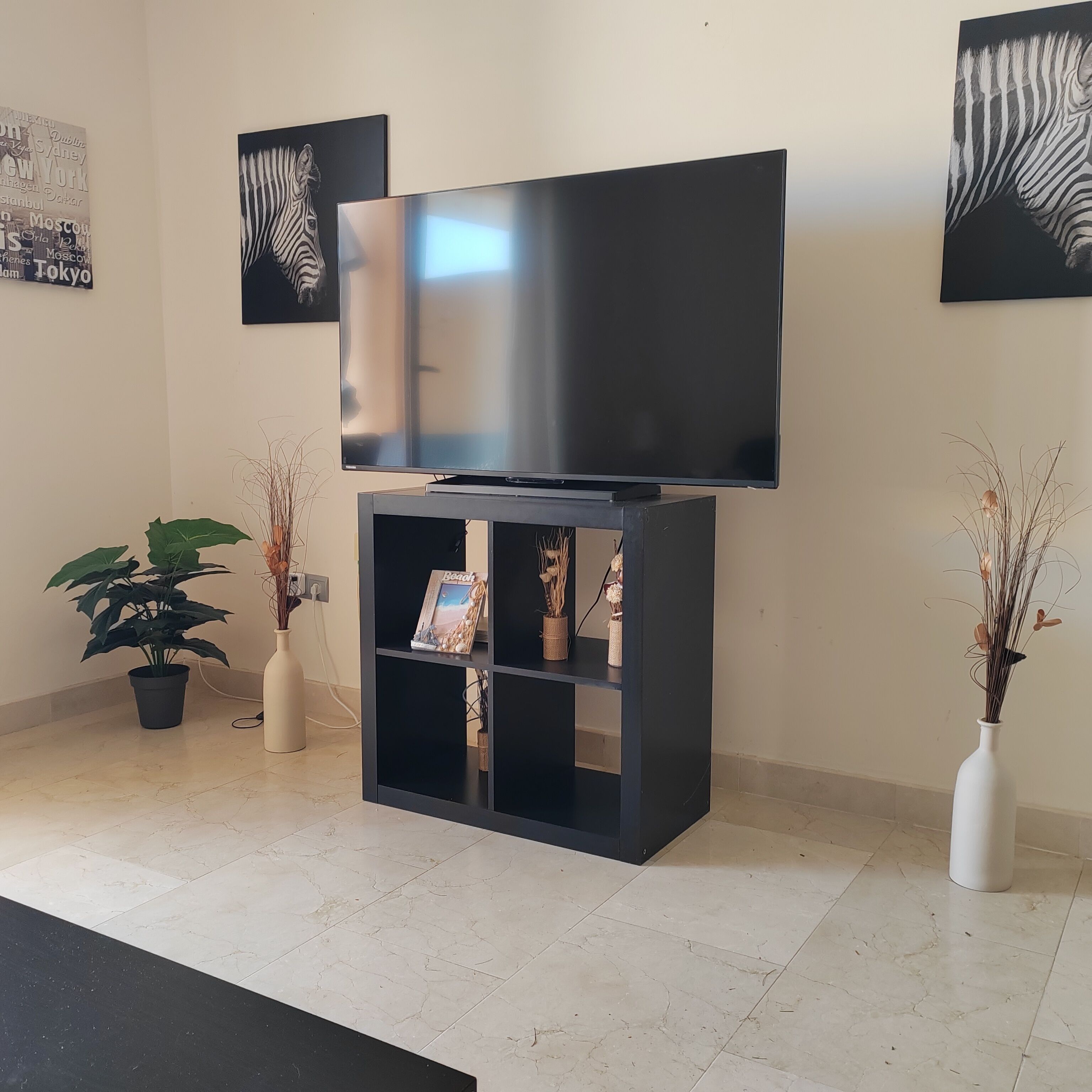 A living room with a flat-screen TV on a black stand, a potted plant, and two vases with dried plants.