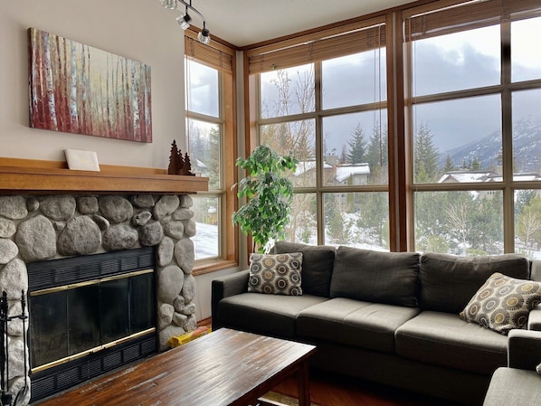 Smart TV, fireplace, video games, DVD player