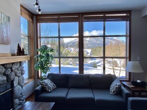 Smart TV, fireplace, video games, DVD player