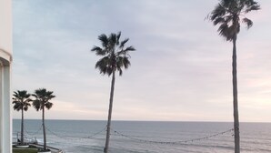 A paved walkway with palm trees and a view of the ocean.