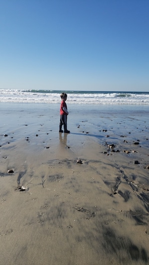 En la playa, sillas reclinables de playa