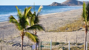 A beach with palm trees, a mountain, and a fence.