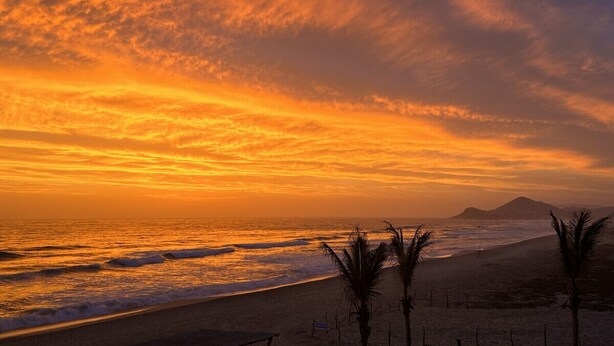 Une plage bordée de palmiers, avec un coucher de soleil.