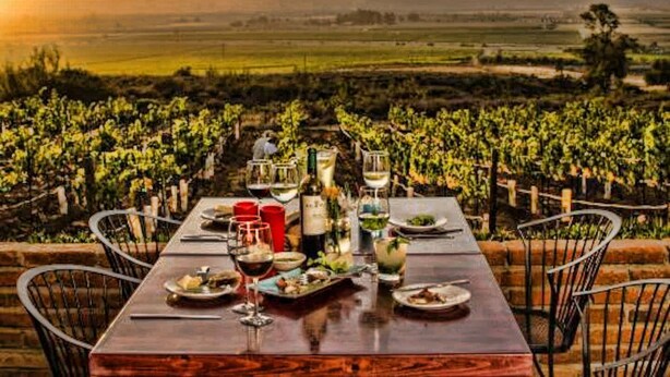 A table set for a meal with wine glasses, plates, and a bottle, overlooking a vineyard.