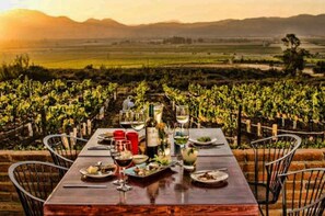 Une table dressée pour un repas, avec des verres à vin, des assiettes et une bouteille, donnant sur un vignoble.