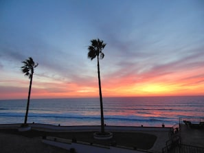 A sunset view with palm trees and a beach. - Casa Mar Verde - Jacuzzi and Pool - Ocean Front Penthouse (Rosarito)