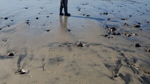 A child standing on a sandy beach with footprints and seaweed scattered around. - Casa Brisa Mar - Ocean front - Pool - Jacuzzi - Fire Pit (Primo Tapia (Cantamar area))