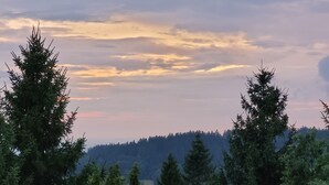 Näkymä metsäisestä maisemasta, jossa etualalla on kaide.
