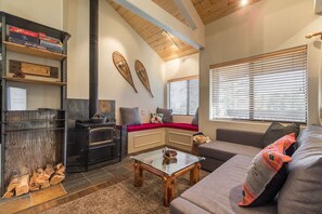 Smart TV, fireplace, DVD player, video library