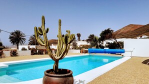 Une piscine avec un cactus dans un pot, entourée de palmiers et avec une chaîne de montagnes en arrière-plan.