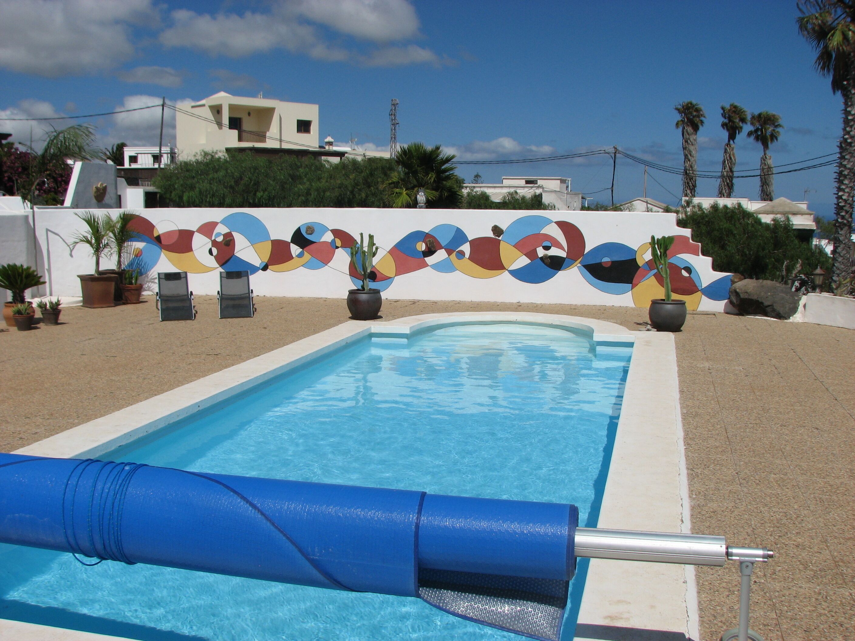 Une piscine recouverte d’une bâche bleue, entourée de plantes en pot et agrémentée d’une fresque murale colorée.