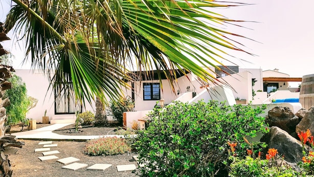 Un jardin avec un palmier, diverses plantes et un chemin menant à un bâtiment.